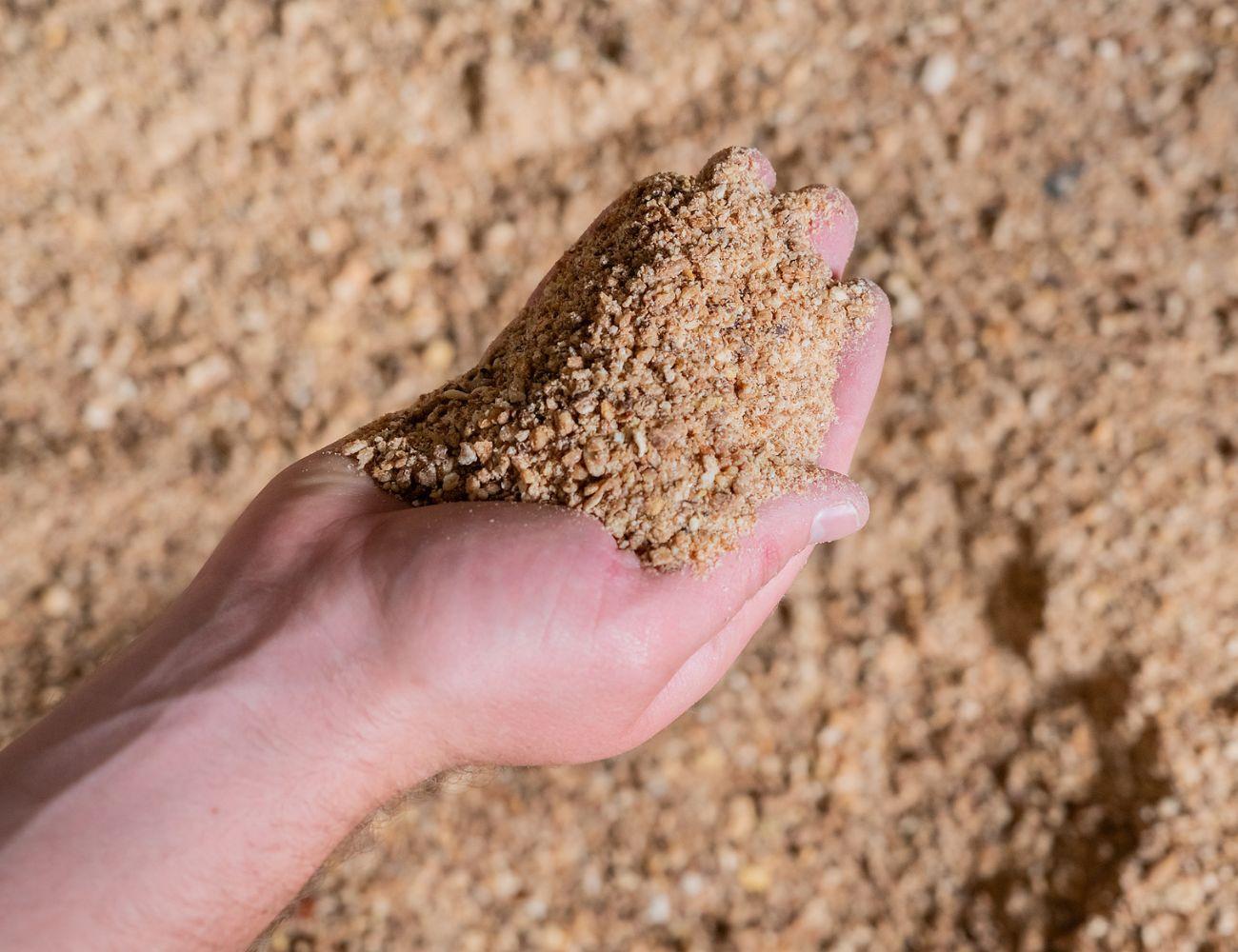 Plantaardige eiwitten in petfood